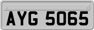 AYG5065