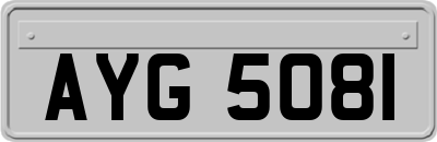 AYG5081