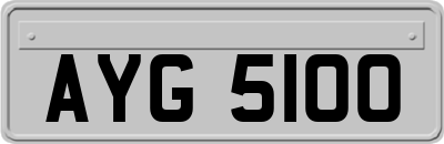 AYG5100