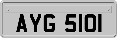 AYG5101