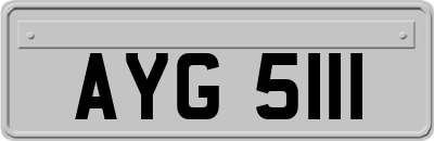 AYG5111