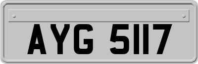 AYG5117