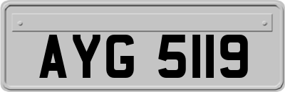 AYG5119
