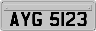 AYG5123