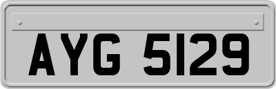 AYG5129