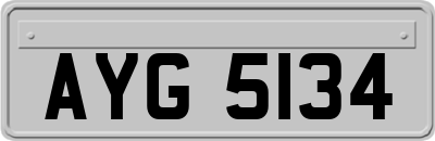 AYG5134