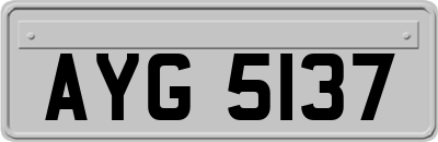 AYG5137