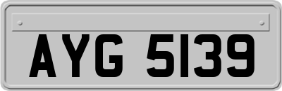 AYG5139