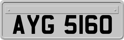AYG5160