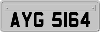 AYG5164
