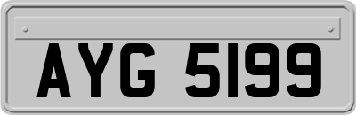 AYG5199