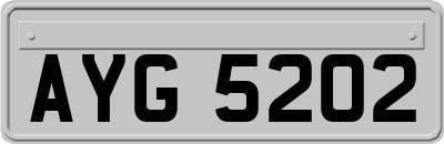 AYG5202