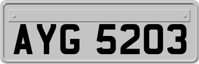 AYG5203