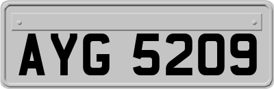AYG5209