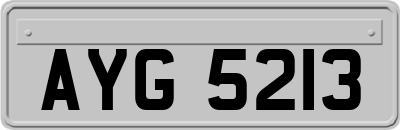AYG5213