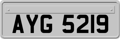 AYG5219
