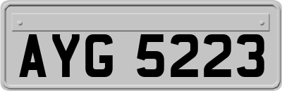 AYG5223