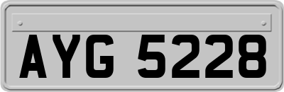 AYG5228
