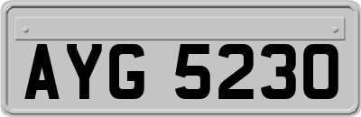 AYG5230