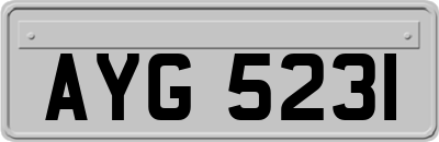 AYG5231