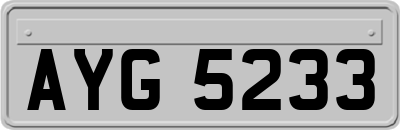 AYG5233