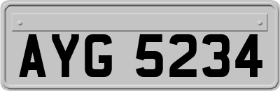AYG5234