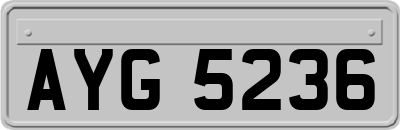 AYG5236