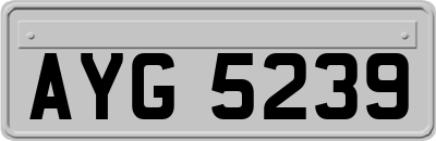 AYG5239