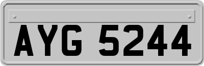 AYG5244