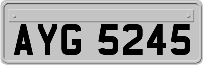 AYG5245