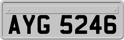 AYG5246
