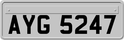 AYG5247