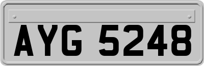 AYG5248
