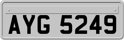 AYG5249