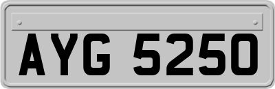 AYG5250