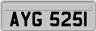 AYG5251