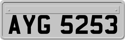 AYG5253