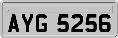 AYG5256