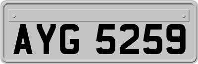 AYG5259
