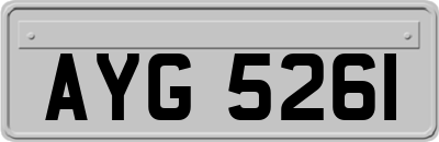 AYG5261