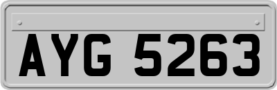 AYG5263