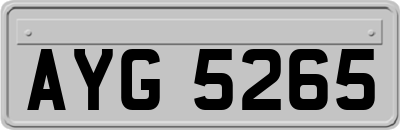 AYG5265