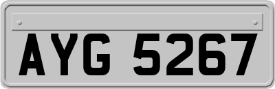 AYG5267