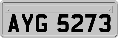 AYG5273