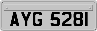 AYG5281