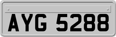AYG5288