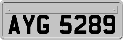 AYG5289