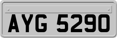 AYG5290