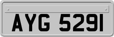 AYG5291