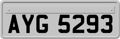 AYG5293